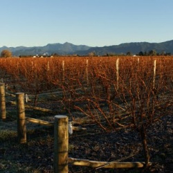 New Zealand 2010