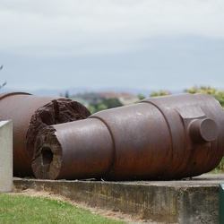 New Zealand 2010